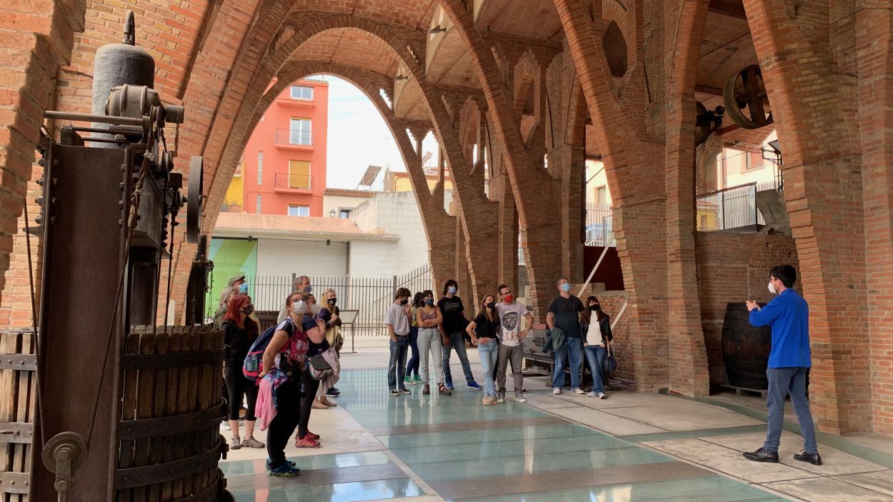 visita guiada Celler