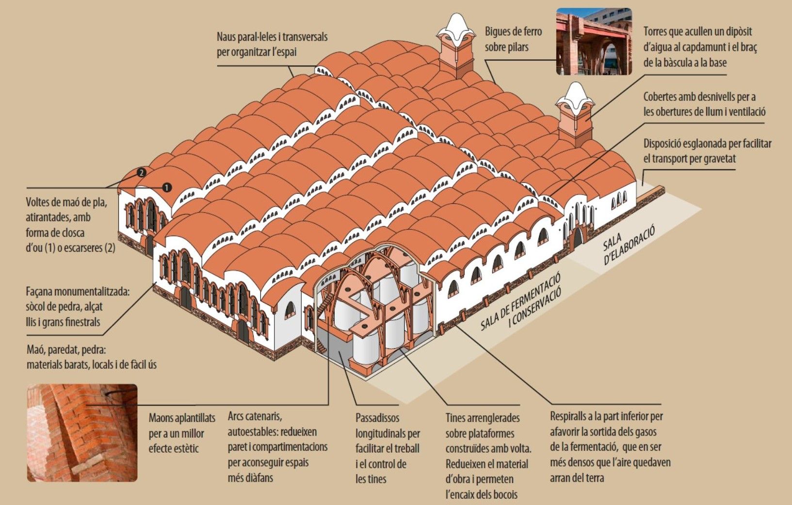 infografia disseny de Cèsar martinell