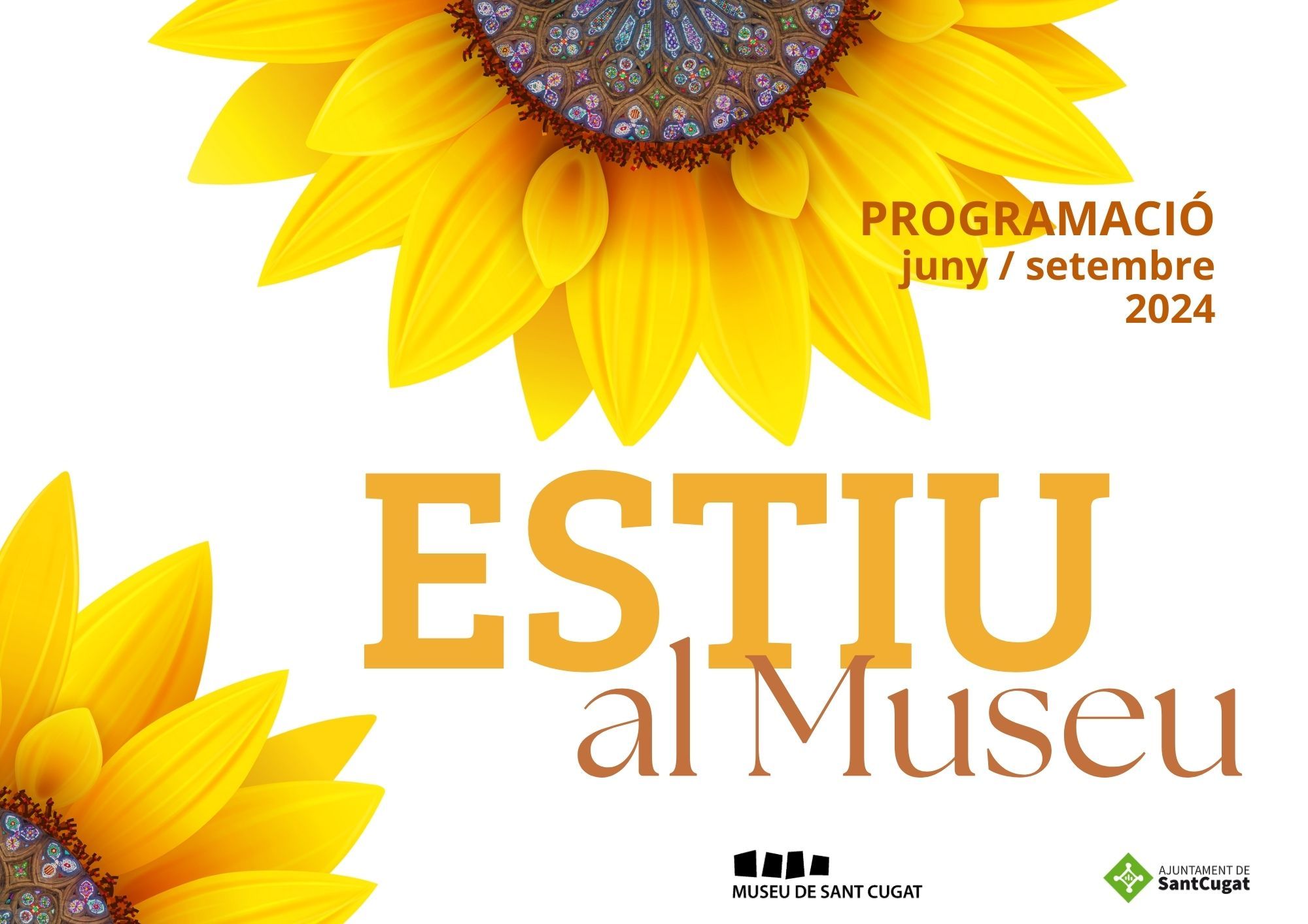 estiu al museu