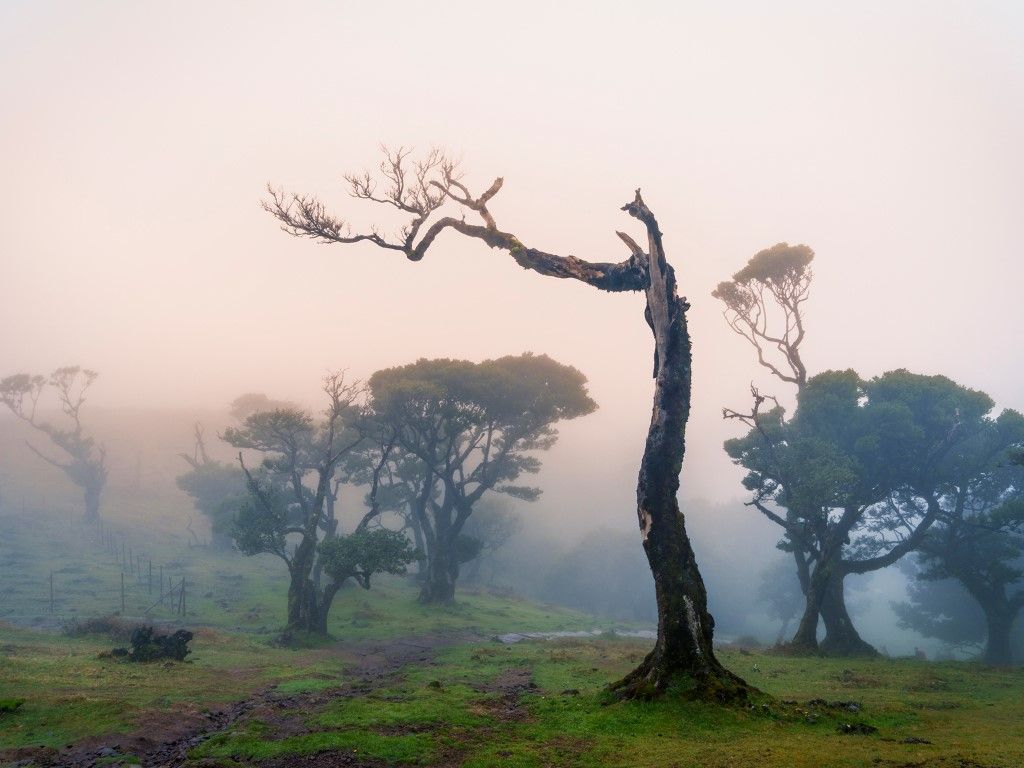 Fotografia de Ferran Molinas